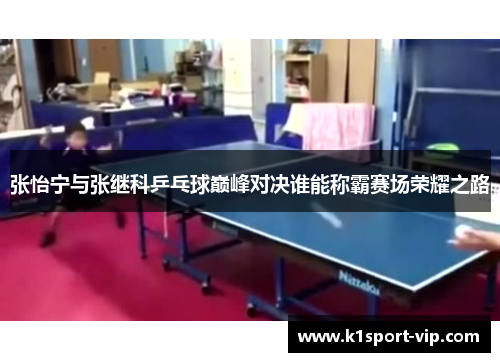 张怡宁与张继科乒乓球巅峰对决谁能称霸赛场荣耀之路